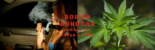 ECSTASY Покачи