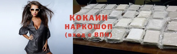 PSILOCYBIN Тутаев