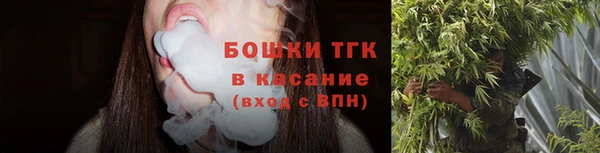 ECSTASY Покачи