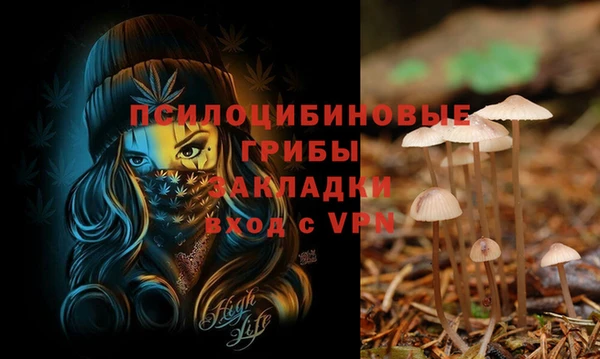 jwh Пестово