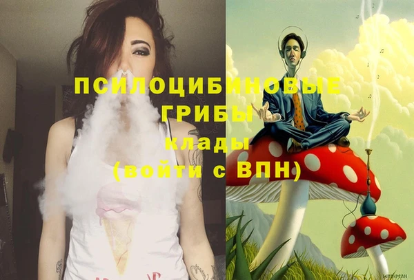 ECSTASY Покачи