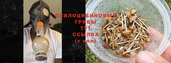 PSILOCYBIN Тутаев
