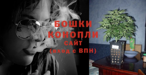 PSILOCYBIN Тутаев