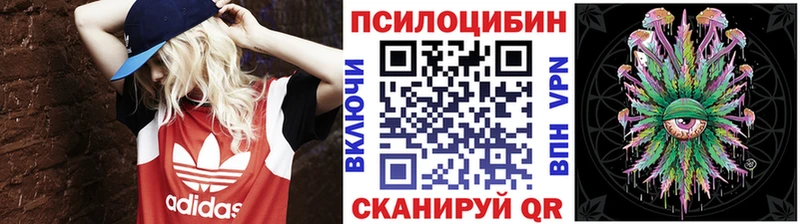 Псилоцибиновые грибы Psilocybe  наркотики  мега как войти  Алапаевск 