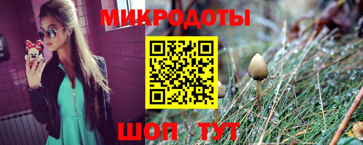 Псилоцибиновые грибы Cubensis  Алапаевск 